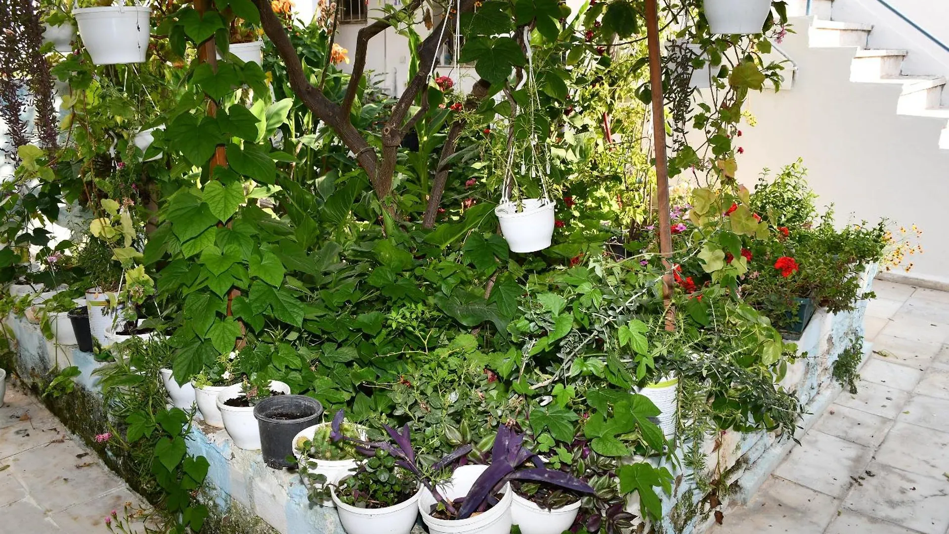 Suat Butik Otel Bodrum Turecko