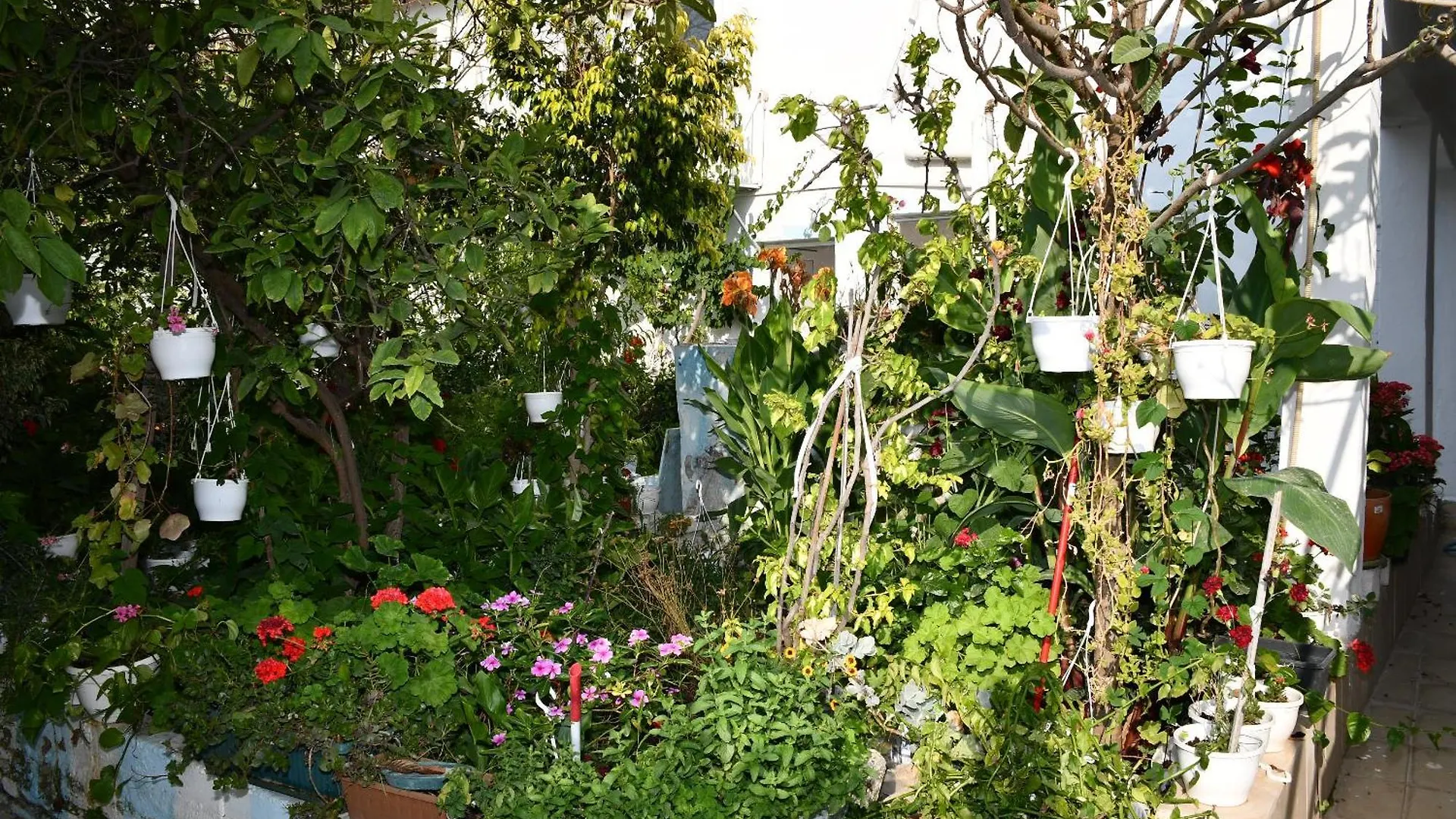 Hotel Suat Butik Otel Bodrum